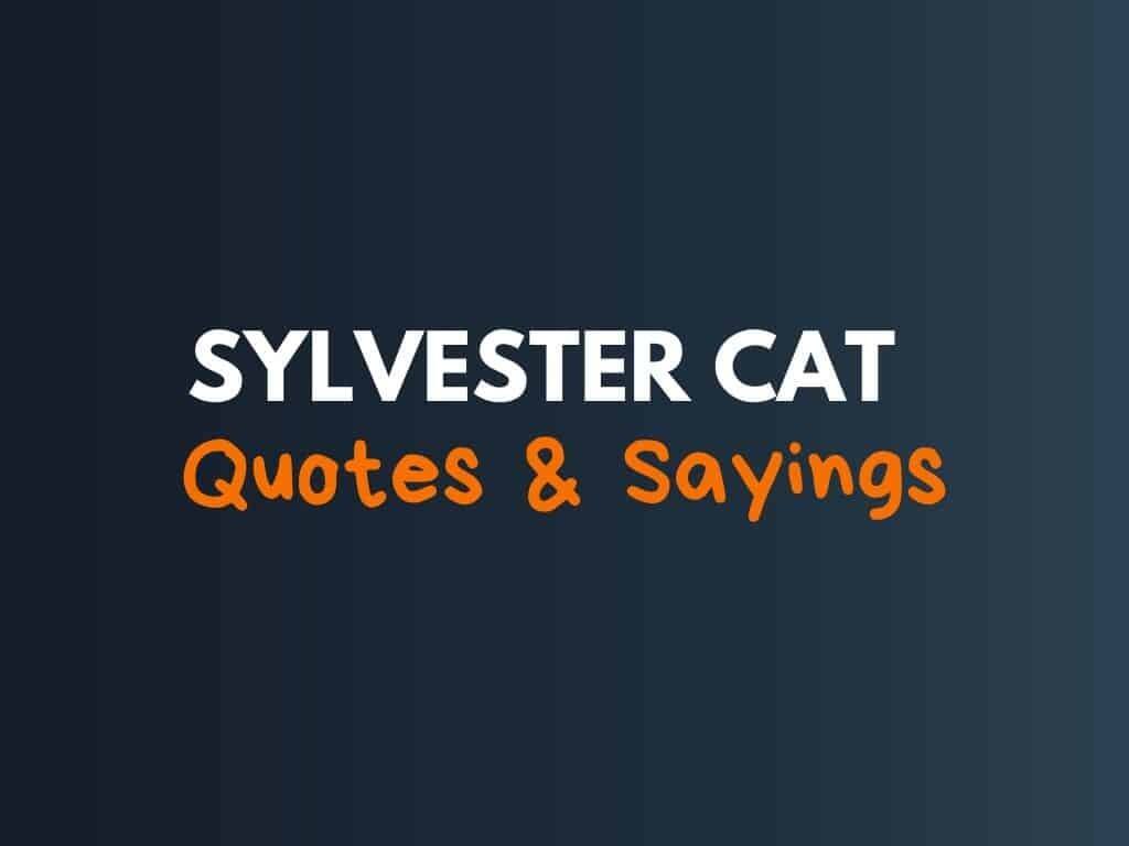 Sylvester The Cat Quotes 85+ Best Sylvester Cat Sayings & Quotes
