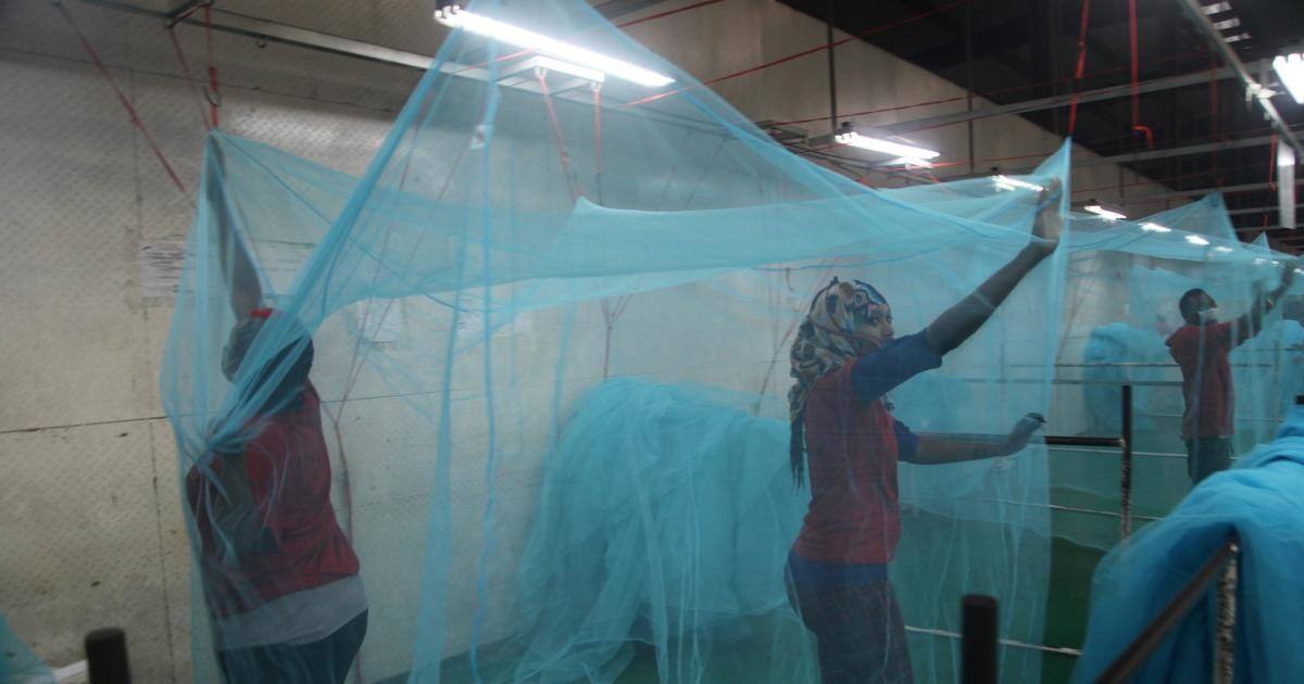 Malaria Vaccine Tesla By The Numbers Argentinian Google